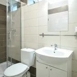 Rent 1 bedroom apartment in Brno