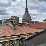 Rent 2 bedroom apartment of 46 m² in Turin