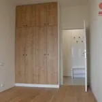 Pronajměte si 2 ložnic/e byt o rozloze 41 m² v Prague