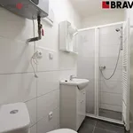 Rent 2 bedroom apartment in Brno