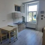 Pronajměte si 2 ložnic/e byt o rozloze 43 m² v cerniv