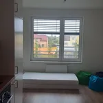 Pronajměte si 1 ložnic/e byt o rozloze 24 m² v Pardubice