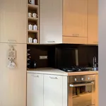 Rent 1 bedroom apartment in Milan