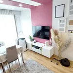 Rent 4 bedroom apartment of 63 m² in Piotrków Trybunalski