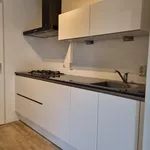 Huur 3 slaapkamer appartement van 81 m² in Bergen