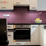 Rent 3 bedroom apartment of 65 m² in Zlín