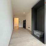 Rent 3 bedroom apartment of 100 m² in Vyškov