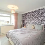 Rent 3 bedroom flat in Chelmsford