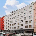 Rent 1 bedroom apartment in Capital City of Prague