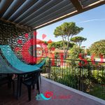 Rent 2 bedroom apartment of 80 m² in Pisa