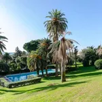 Rent 4 bedroom apartment in Genoa