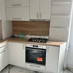 Rent 2 bedroom apartment of 54 m² in Lovnic