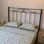 Rent 3 bedroom apartment in cordoba