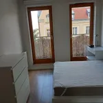 Rent 2 bedroom apartment of 52 m² in Poznan