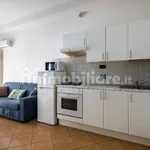 Rent 1 bedroom apartment of 30 m² in Bologna