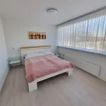 Rent 4 bedroom apartment of 91 m² in Watercirkelbuurt