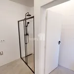 Rent 2 bedroom apartment of 76 m² in Pelhřimov