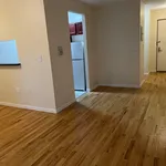 Rent 1 bedroom apartment in New York City