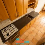 Rent 3 bedroom apartment of 73 m² in Praha