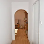 Rent 2 bedroom apartment of 48 m² in České Budějovice