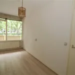 Huur 3 slaapkamer appartement van 85 m² in The Hague