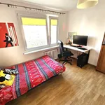 Rent 2 bedroom apartment of 48 m² in Katowice