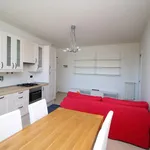 Rent 2 bedroom apartment of 44 m² in Siena