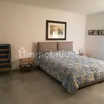 Rent 3 bedroom apartment of 55 m² in Pisa