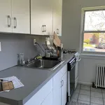 Rent 1 bedroom apartment in NY