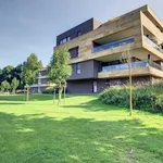 Rent 2 bedroom apartment of 33 m² in Overijse