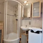 Pronajměte si 4 ložnic/e byt o rozloze 43 m² v Prague