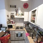 Miete 1 Schlafzimmer wohnung von 41 m² in Vienna