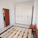 2-room flat via Dante Alighieri 13/C, Stagno, Collesalvetti