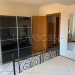 Rent 2 bedroom apartment of 50 m² in Cologno Monzese