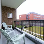 Rent 4 bedroom apartment of 100 m² in Stadshart