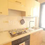 Rent 2 bedroom apartment of 50 m² in Forlì