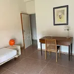 Rent 4 bedroom apartment of 120 m² in Bologna