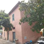 Affitto 3 camera appartamento di 60 m² in Marino