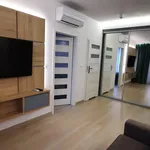 Rent 2 bedroom apartment of 35 m² in Krakow