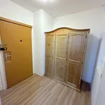 Rent 2 bedroom apartment of 45 m² in Capital City of Prague