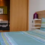 Rent 1 bedroom apartment in Lisbon