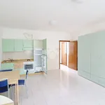 Rent 1 bedroom apartment of 41 m² in Pavia