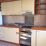 Rent 3 bedroom apartment in Tunari