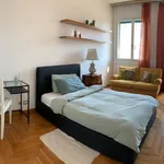 Rent 6 bedroom apartment in Milan