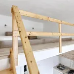 Pronajměte si 1 ložnic/e byt o rozloze 24 m² v Brno