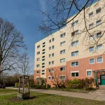 Miete 1 Schlafzimmer wohnung von 18 m² in Berlin