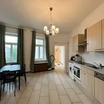 Rent 1 bedroom apartment of 50 m² in Wien