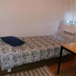 Rent a room in madrid