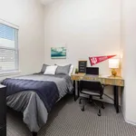 Rent 1 bedroom apartment in Bloomington