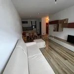 Rent 1 bedroom apartment of 45 m² in Aprica